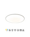 SLIM * PLAFÓN LED 25 CM - 5000K - BLANCO